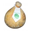 CACIOCAVALLO PODOLICO SEMISTAGIONATO -Pres. Slow Food- Forma Intera