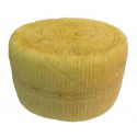 PECORINO